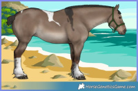 Horse Color:Liver Red Dun Sabino Tobiano
