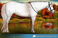 Horse Color:Gray White Spotted Liver Chestnut Pearl 