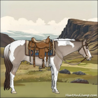 Horse Color:Liver Red Dun Tobiano