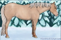 Horse Color:Silver Classic Champagne Roan