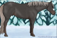 Horse Color:Silver Black 