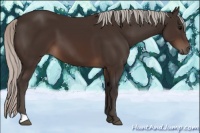 Horse Color:Silver Brown