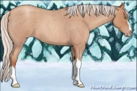 Horse Color:Silver Sable Champagne Roan
