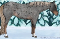Horse Color:Liver Red Roan 