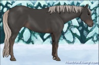 Horse Color:Silver Black 