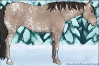 Horse Color:Classic Champagne Ice