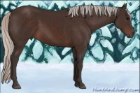 Horse Color:Silver Brown 