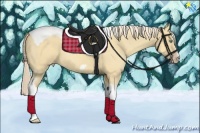 Horse Color:Gold Cream Champagne Dun Splash Tobiano Frame