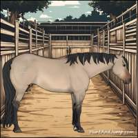 Horse Color:Bay Dun Sabino 