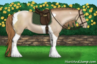 Horse Color:Chestnut Pearl Tobiano 