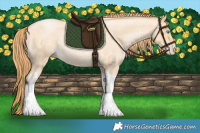 Horse Color:Buckskin Roan Pearl Tobiano 