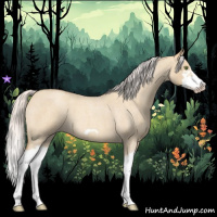 Horse Color:Silver Classic Champagne Roan Dun Splash Frame 