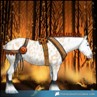Horse Color:Smoky Black Pearl Appaloosa 