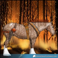 Horse Color:Black Pearl Appaloosa and Gray Black Pearl Appaloosa