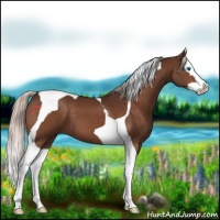 Horse Color:Silver Brown Splash Tobiano 