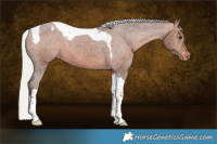 Horse Color:Silver Bay Tobiano Varnish 