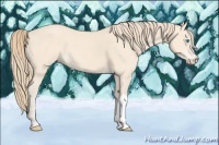 Horse Color:Perlino 
