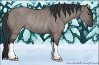 Horse Color:Grullo Rabicano 