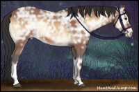 Horse Color:Bay Ice Onyx 