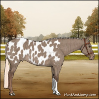 Horse Color:Liver Red Dun Mushroom Near Leopard Brindle 