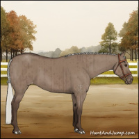 Horse Color:Liver Red Dun Mushroom Varnish Brindle 