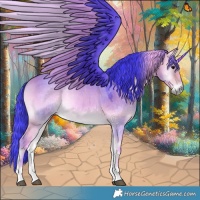 Horse Color:Watercolor Bay Onyx 