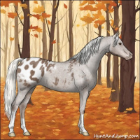 Horse Color:Liver Red Dun Mushroom Appaloosa Brindle 