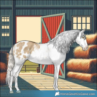 Horse Color:Chocolate Palomino Dun Mushroom Appaloosa Brindle 