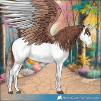 Horse Color:Chocolate Bay Dun Splash Appaloosa Brindle