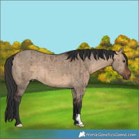 Horse Color:Brown Dun Brindle 
