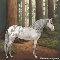 Horse Color:Liver Red Dun Mushroom Appaloosa Brindle