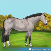 Horse Color:Platinum Bay Dun Brindle 