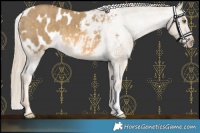 Horse Color:Chocolate Palomino Dun Mushroom Blanket Brindle 