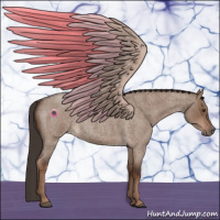 Horse Color:Liver Red Dun Roan 