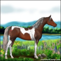 Horse Color:Silver Brown Tobiano 