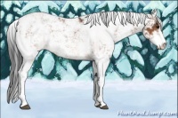 Horse Color:Bay Sabino Rabicano 