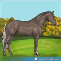 Horse Color:Silver Black 