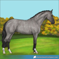 Horse Color:Smoky Grullo Roan 