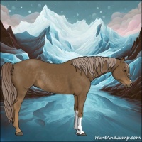 Horse Color:Chocolate Palomino Rabicano