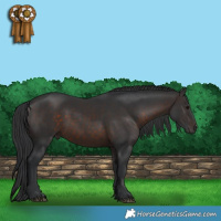 Horse Color:Brown 