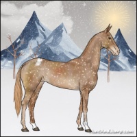 Horse Color:Chestnut Appaloosa Rabicano 