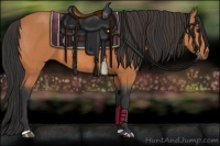 Horse Color:Bay and Bay