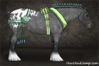 Horse Color:Blue Roan Appaloosa 