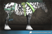 Horse Color:Black Appaloosa  and Black Appaloosa 