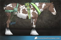 Horse Color:White Spotted Silver Black Frame 