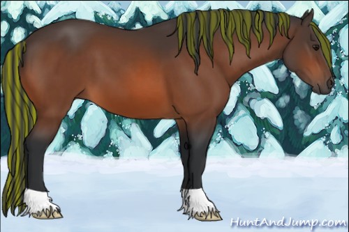 Horse Color:Painted Bay 