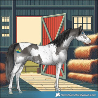 Horse Color:Black Splash Tobiano 