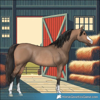 Horse Color:Bay Dun Rabicano 