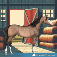 Horse Color:Bay Dun Rabicano 
