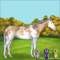 Horse Color:White Spotted Silver Sable Cream Champagne Splash Rabicano 